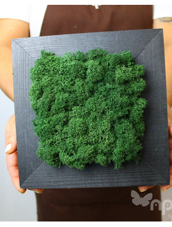 ЖИВАЯ ЭКО-КАРТИНА 1066