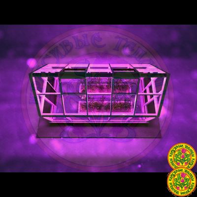 Зимняя Теплица Дункан II в классическом английском стиле