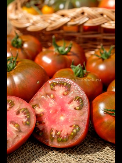 Томат Ярсон 16 (Jarson 16), 10 шт