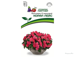 ПАРТНЕР БАЛЬЗАМИН F1 МАХРОВЫЙ КОРАЛ ЛЕЙС ^(5ШТ) 2-НОЙ ПАК