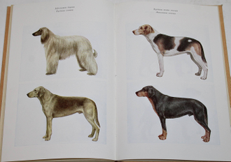 Слимак К., Духай Й. Охотничьи собаки. М.: Лесная промышленность. 1986г.