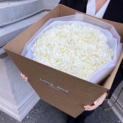 Транспортировочный бокс