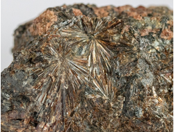 Лампрофиллит