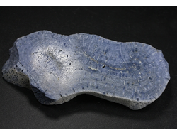 Коралл голубой Акори, Австралия (72*37*10 мм, 44 г) №37706