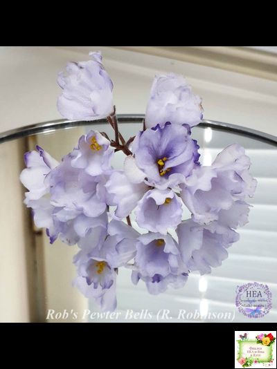 Rob&#039;s Pewter Bells (R. Robinson) 07/06/1992