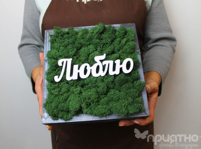 ЖИВАЯ ЭКО-КАРТИНА 1057