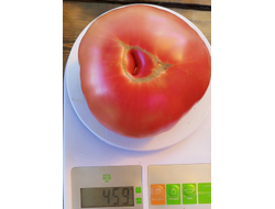 Томат Минусинец