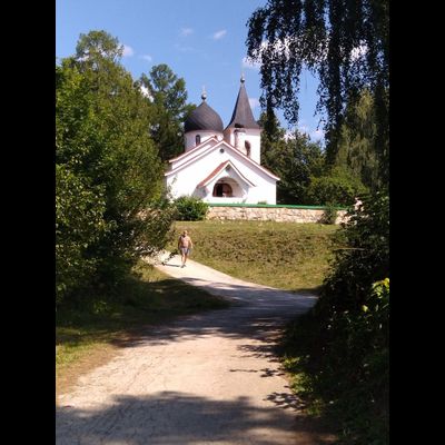 Автобусно-теплоходная экскурсия  «В Поленово и Бехово»
