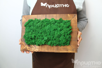 ЖИВАЯ ЭКО-КАРТИНА 1046