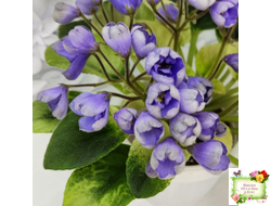 Н-Аватар (Н. Бердникова)