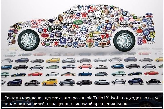 Купить автомобильное детское кресло Joie Trillo LX вы можете на нашем официальном сайте Joie-russ.