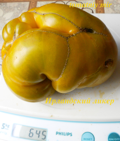 Томат Ирландский ликер