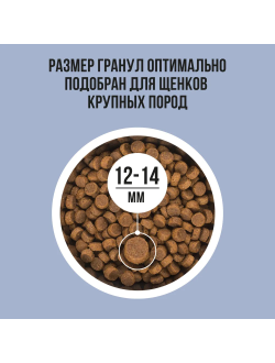 BOWL WOW (Боул Вау) корм сухой для щенков крупных пород Индейка, Ягненок, Рис, Черника, 2 кг