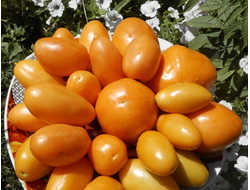 Томат Желтые длинные