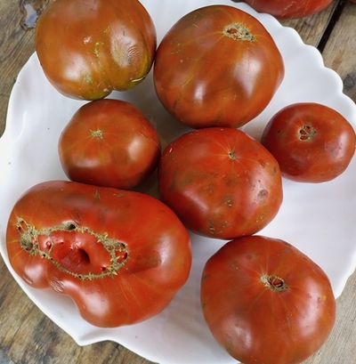 Томат Лавандовое озеро (Lavender Lake)