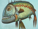 Серия Рыб. Хищная рыба 50х60см х.м. 2015