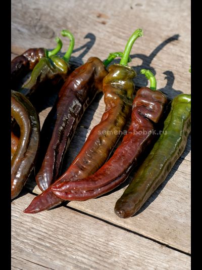 Перец сладкий Ramiro Chocolate (Рамиро Шоколадный), 10 шт