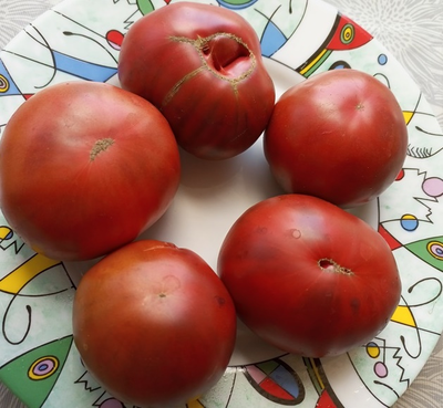 Томат Королевский фиолетовый (Royal Purple)