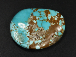 Бирюза, полировка плоская, США, Невада (30*24*6 мм, 7 г) №37844