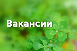 Приглашаем на работу в Физио-МЕД