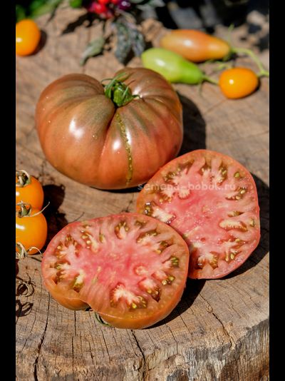 Томат Черное с Носиком от Борисовны, 10 шт