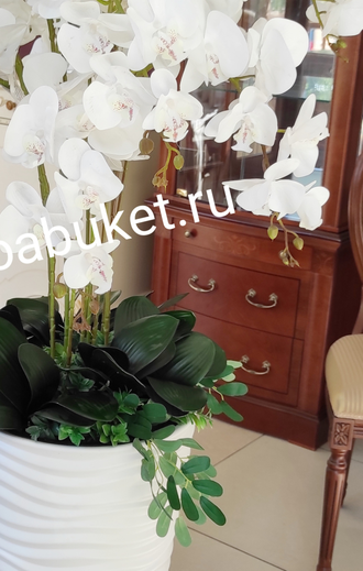 Композиция орхидея белая напольная в высокой вазе № ОР022