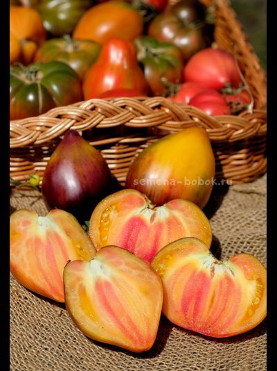 Томат Ананасный Сержант, 10 шт