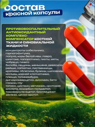 Сустальмакс 2в1, природный хондропротектор