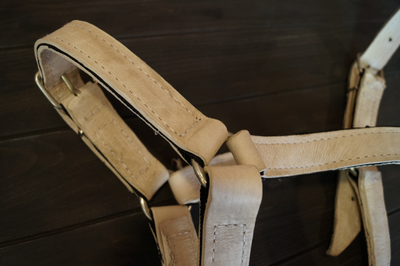 Недоуздок для тяжеловоза 35 мм, усиленный капроном