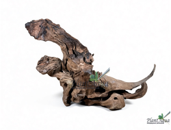 SwetAqua Chinese Sunken EXCLUSIVE 8035 (500x150x330 мм) - Натуральная коряга "Китайская затонувшая" EXCLUSIVE