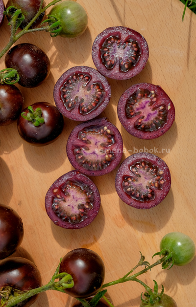 Томат Empress Purple Tomato (Черничный Щербет), 8 шт