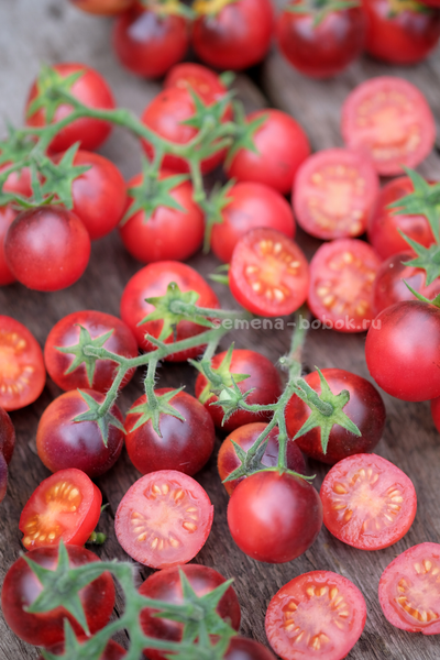 Томат Маленький Красный Корвет (Little Red Corvete), 10 шт