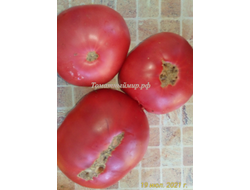 Томат Микадо розовый