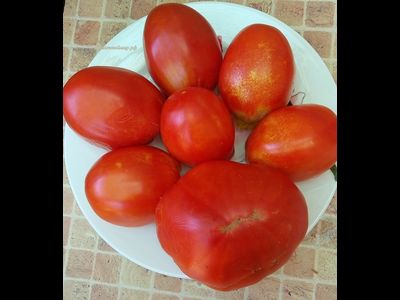 Томат Де Барао гигант