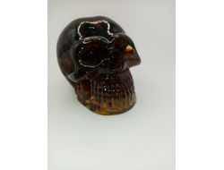 Череп самый большой