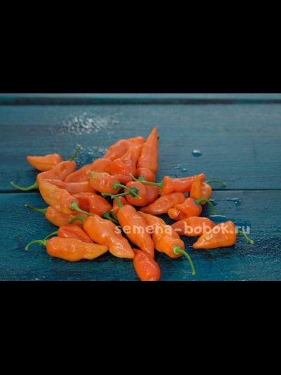 Перец сладкий Habanero Habanada  (Хабанеро Хабанада), 10 шт