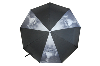 Зонт женский автоматический Кошки Pasio (сатин) , 6 видов