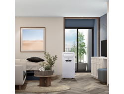 Кондиционер мобильный Electrolux Manhattan EACM-12 FM/N3