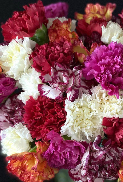 Гвоздика 35 шт