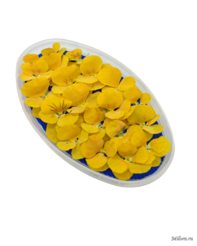 Съедобные цветы - синяя виола