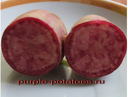 Ботанические семена картофеля Rosemaria * Violetta