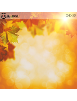 Фотофон виниловый «Осеннее солнце»