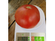 Томат Канадский великан