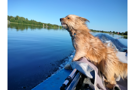 Прогулки по островам