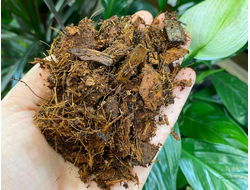 Субстракт кокосовый 1л