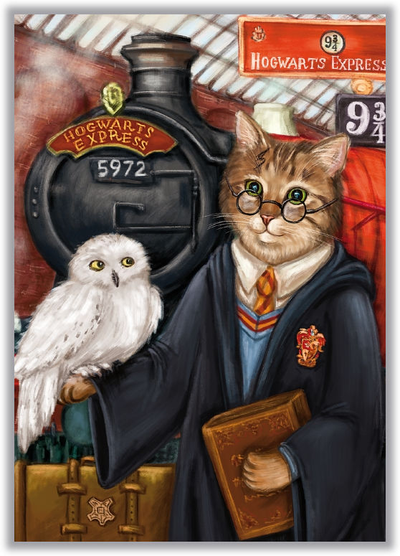 Хогвартс в стиле "CAT". Гарри