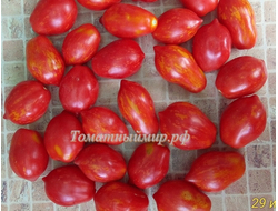 Томат Бешеная полосатая груша (Stripearanoid, США)