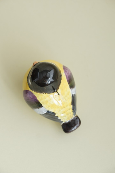 Птичка синичка