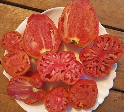 Томат Ребристый Эуганских Холмов (Costoluto Colli Euganei), Италия