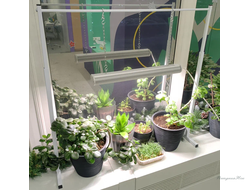 Держатель для фитосветильника телескопический